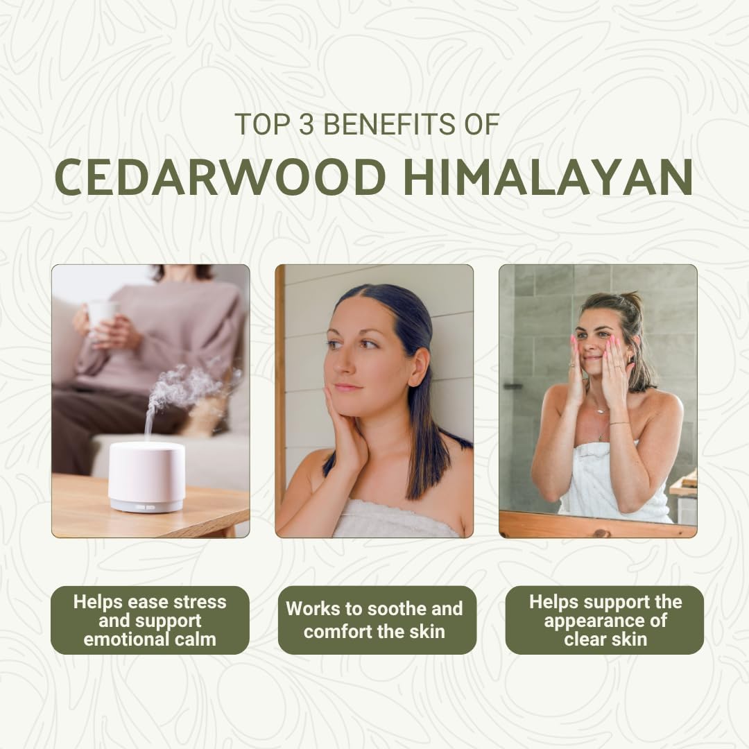 Cedarwood Himalayan Essential Oil - 100% Pure Steam Distilled Natural Cedarwood Himalayan Oil (Aceite de Cedro) from Natural Biotech NBT India for Aromatherapy & DIY Projects - 15ml