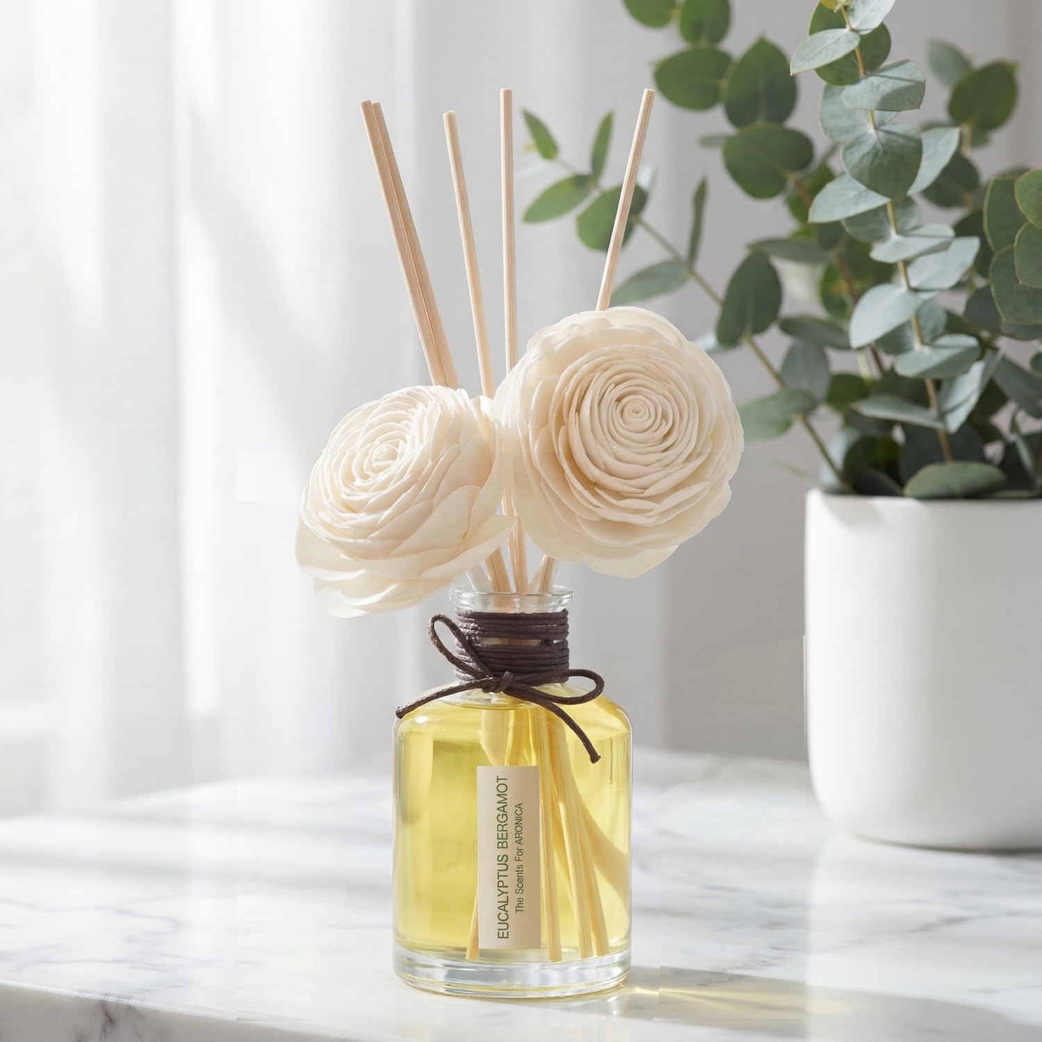 Aronica Twin Sola Diffuser 160ml_Eucalyptus and Bergamot Essential Oil Flower Diffuser, Non Toxic Reed Diffusers, Beach Themed Home Room Decor, Natural Gift for Men, Beach Scent