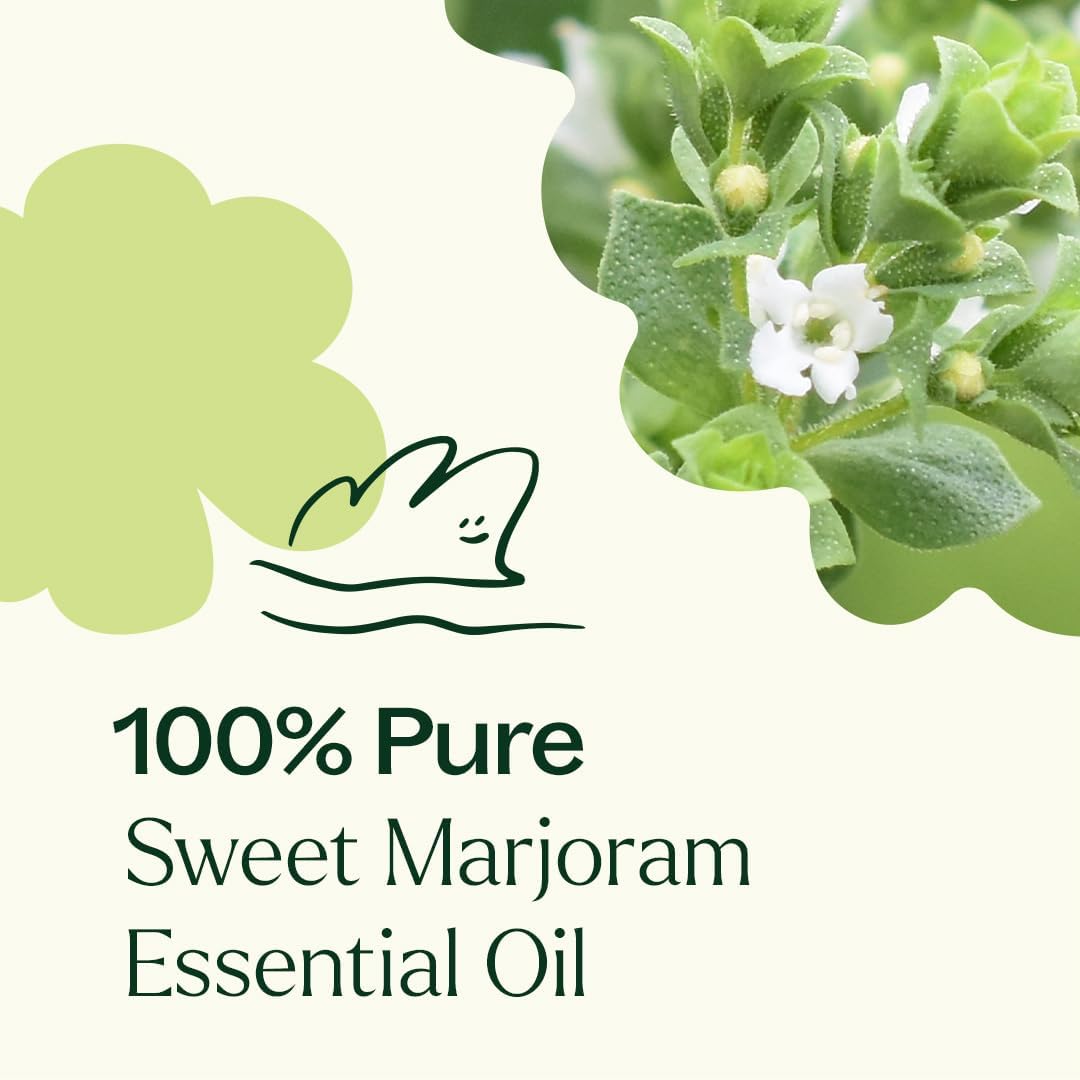 Plant Therapy Sweet Marjoram Essential Oil 30 mL (1 oz) 100% Pure, Undiluted, Soothing Aromatherapy for Digestive Support and Sore Muscles