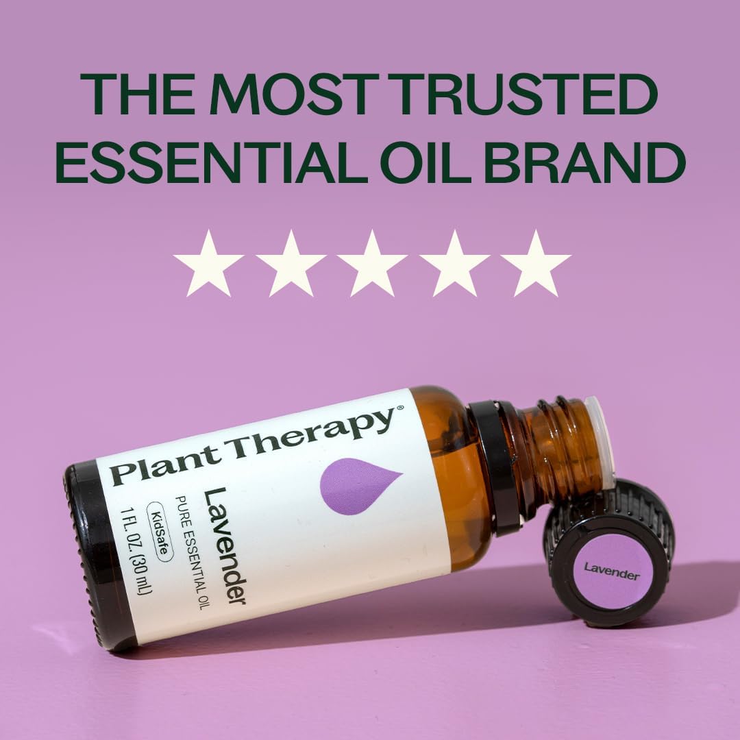Plant Therapy Lavender Essential Oil 100% Pure, Undiluted, Natural Aromatherapy 30 mL (1 oz)