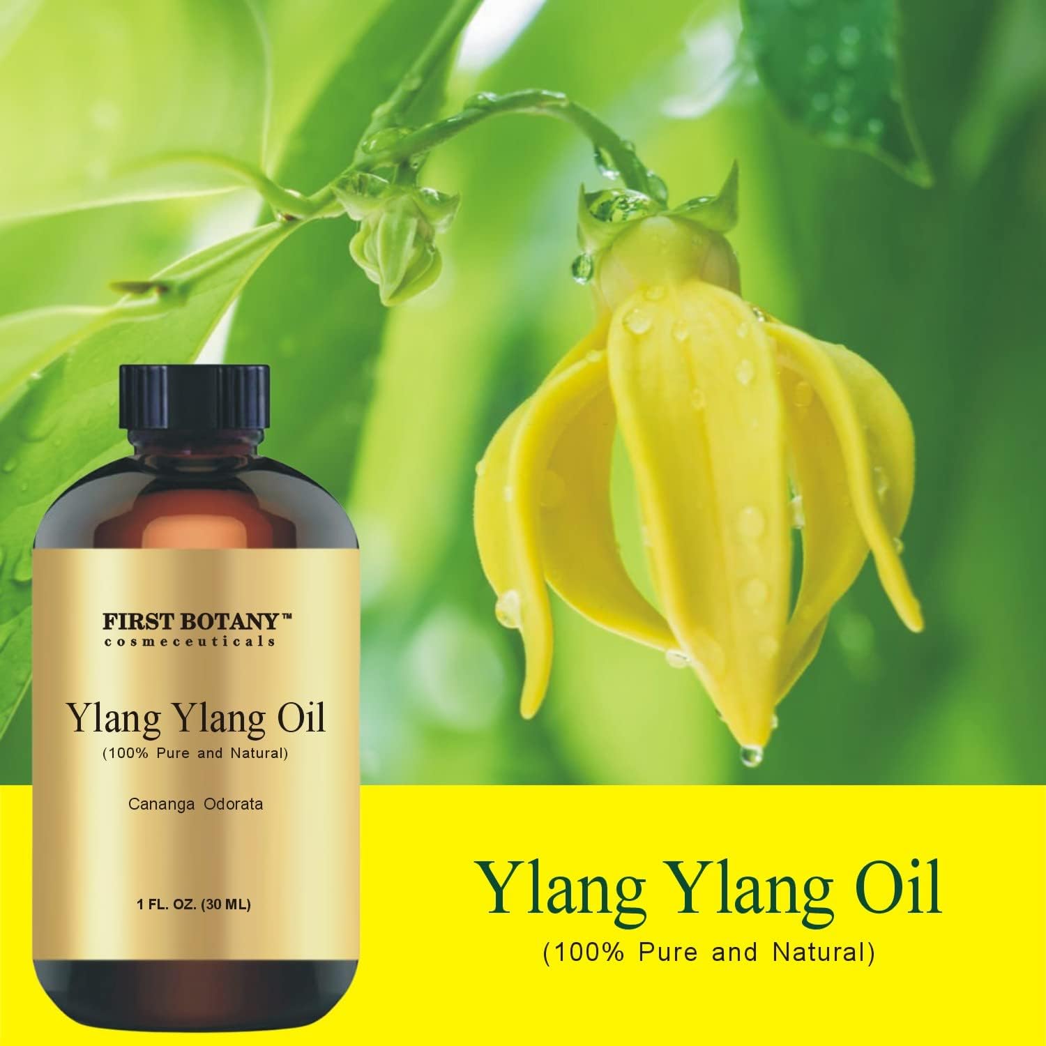First Botany, 100% Pure Oil Ylang Ylang Oil - Premium Ylang-Ylang Essential Oil for Aromatherapy, Massage, Topical & Household Uses - 1 fl oz