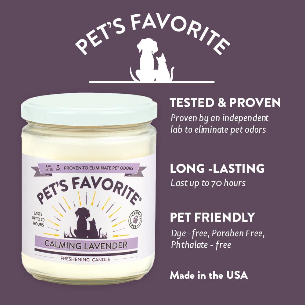 Calming Lavender Pet Odor Eliminator Candle Pet Friendly