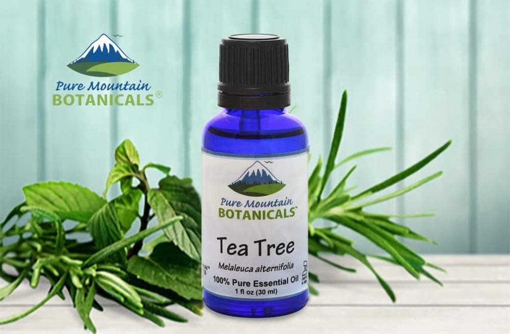 Tea Tree (Melaleuca Alternifolia) Essential Oil - 100% Pure Natural & Kosher - 1 fl oz Bottle