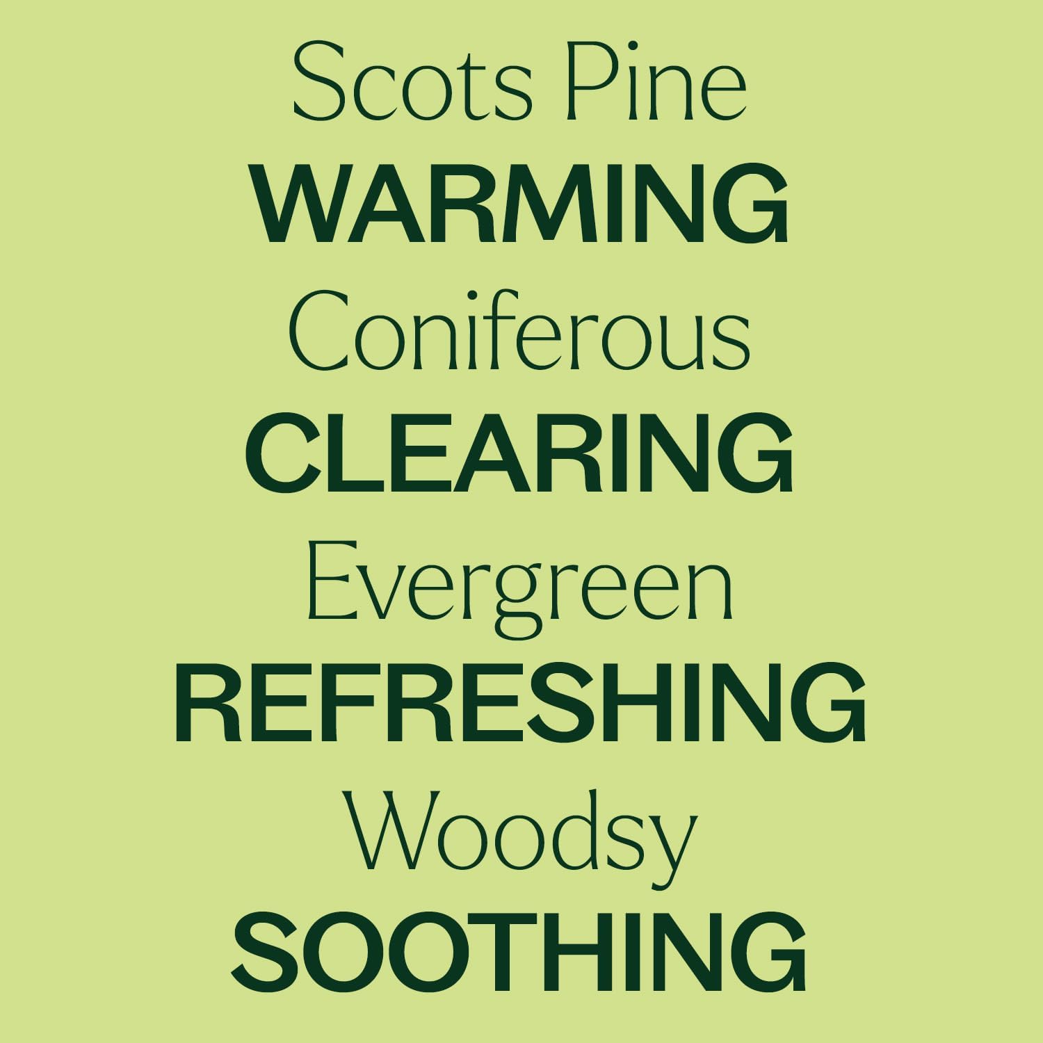 Plant Therapy Scots Pine Essential Oil 30 mL (1 oz) 100% Pure, Undiluted, Therapeutic Grade