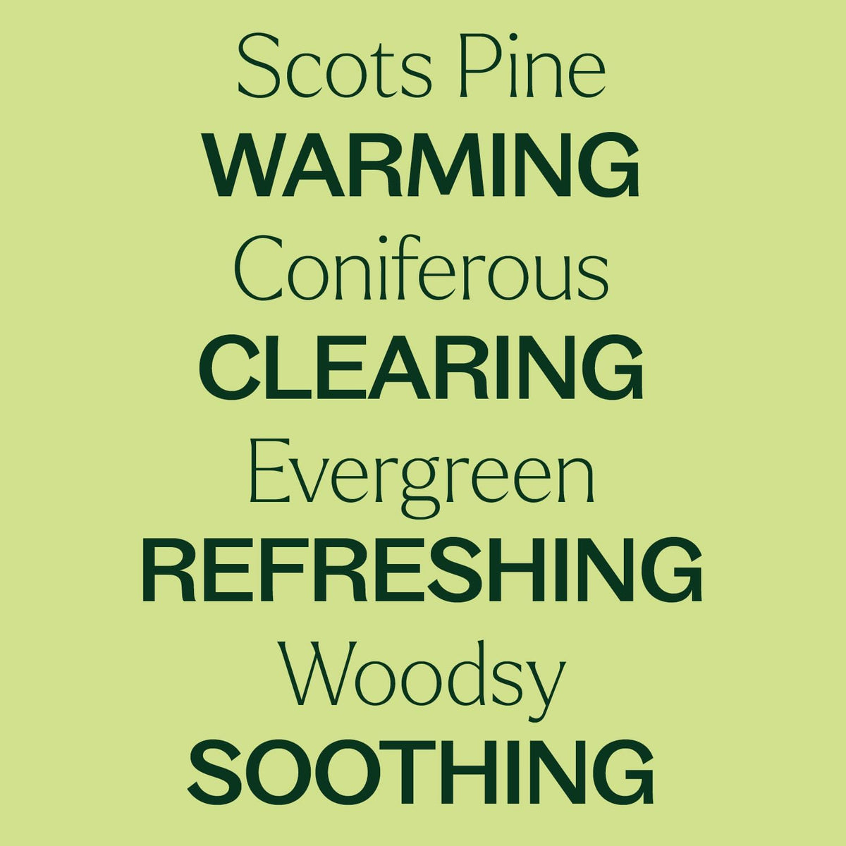 Plant Therapy Scots Pine Essential Oil 30 mL (1 oz) 100% Pure, Undiluted