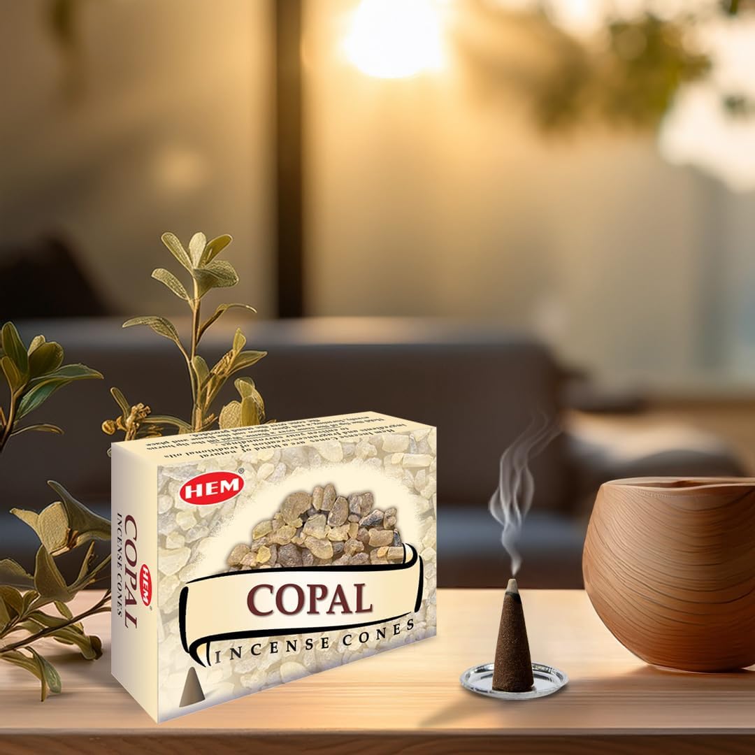 HEM Copal Incense Cones – Pack of 120 Cones (10 Boxes) – Natural Long-Lasting Aroma for Aromatherapy, Cleansing, Stress Relief & Home Fragrance
