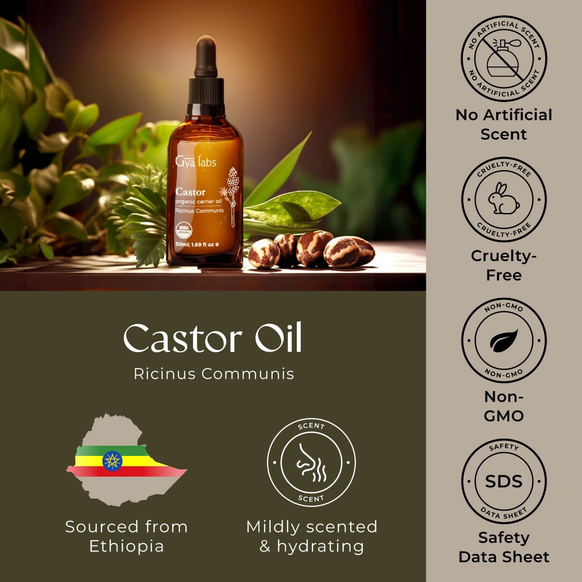 Gya Labs USDA Organic Castor Oil - 1.69 Fl Oz - Carrier Oil for Hair, Skin, Face, Scalp & Body Massage