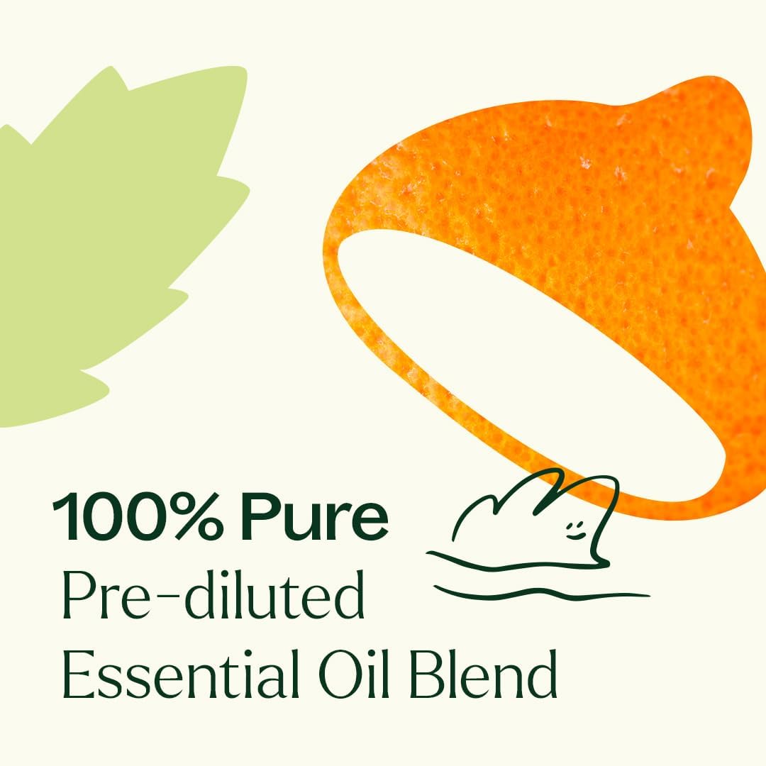 Plant Therapy Motion Sickness Essential Oil Blend Pre-Diluted Roll-On 10 mL (1/3 oz) Helps Ease Motion-Related Discomfort, Great for Road Trips & Flights, Convenient & Ready to Use