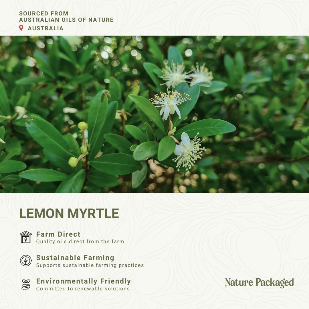 Lemon Myrtle Essential Oil - Experience an Invigorating, Fresh Citrus Aroma - Pure, Undiluted Therapeutic Grade Essential Oil - 2lbs
