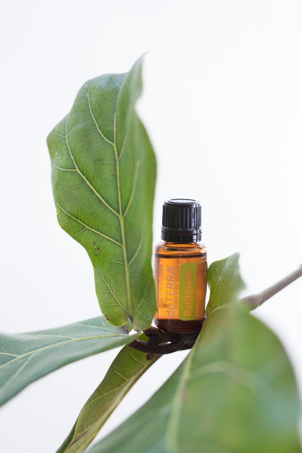 doTERRA - Petitgrain Essential Oil - 15 mL