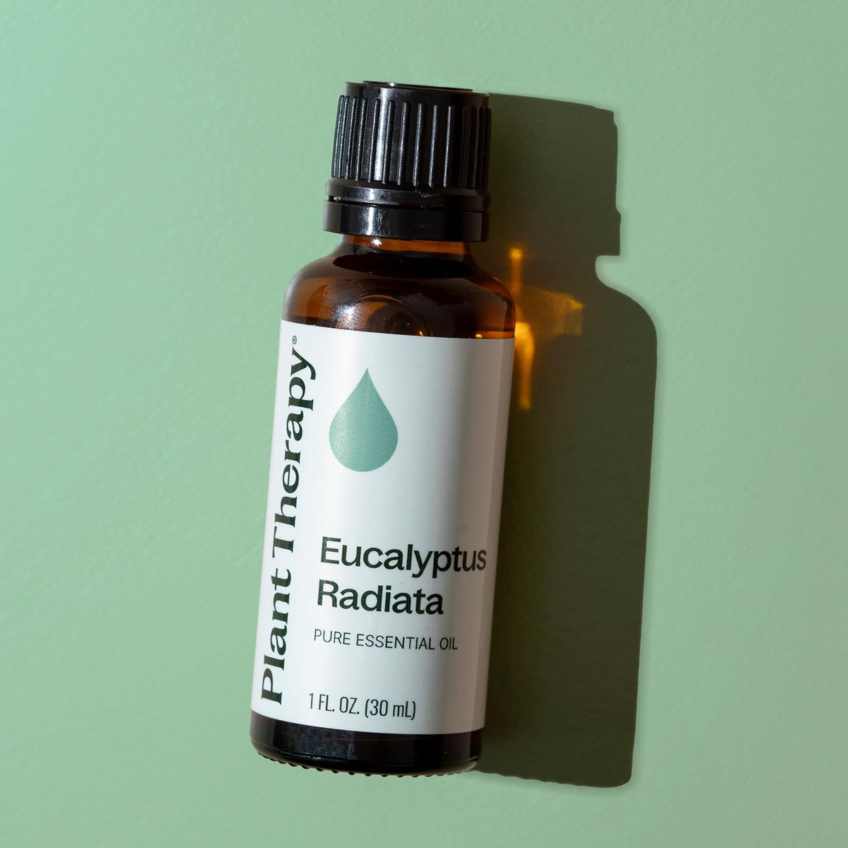 Plant Therapy Eucalyptus Radiata Essential Oil 30 mL (1 oz)