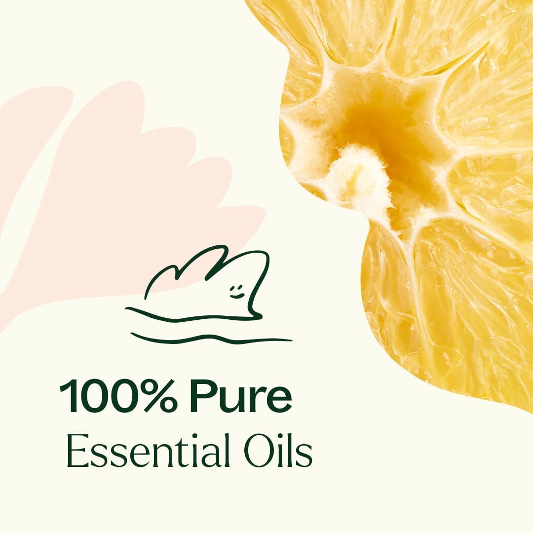 Plant Therapy Lemon Cupcake Essential Oil Blend 10 mL (1/3 oz) 100% Pure, Undiluted, Natural Aromatherapy, Cozy, Sweet, Bright Scent