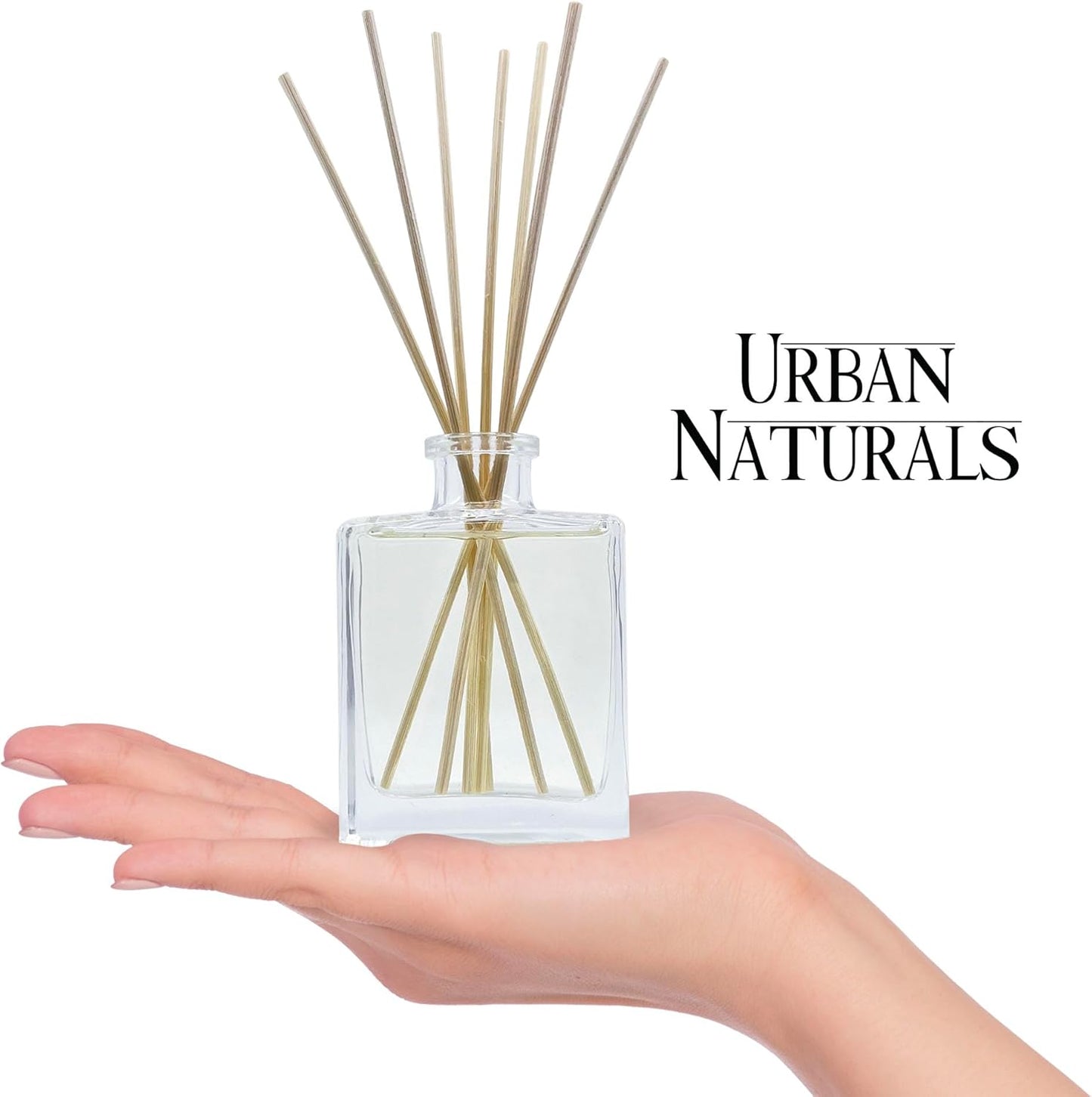 Urban Naturals Sandalwood & Eucalyptus Reed Diffuser Set – Made with Essential Oils & Real Botanicals – Sleek Rectangular Refillable Glass Bottle – Made in the USA
