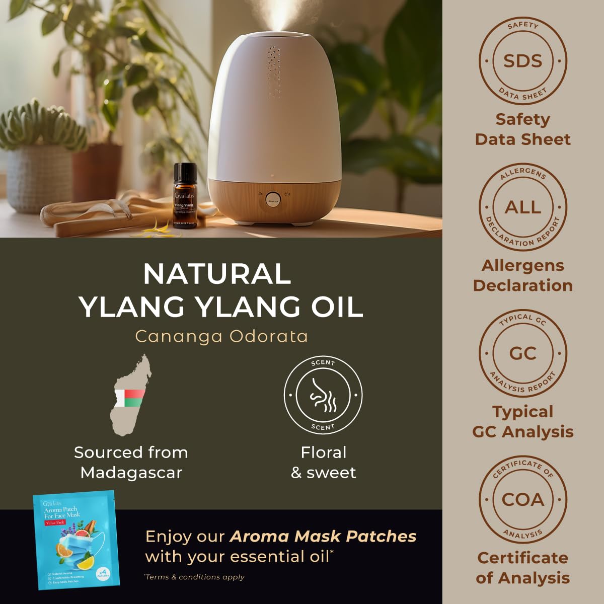 Gya Labs Jojoba Oil for Hair (100ml) & Ylang Ylang Essential Oil for Skin (10ml) Set - Aromatherapy Grade Essential Oils Set