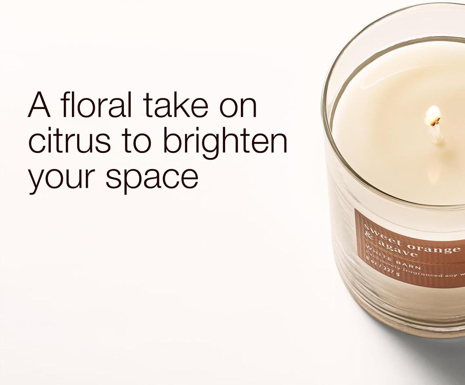 Bath & Body Works Single Wick Candle, Sweet Orange & Agave Candle, Long-Lasting Burn Up to 45 Hours, Exclusively Fragranced Soy Wax Blend, 8 oz - 1 Pack