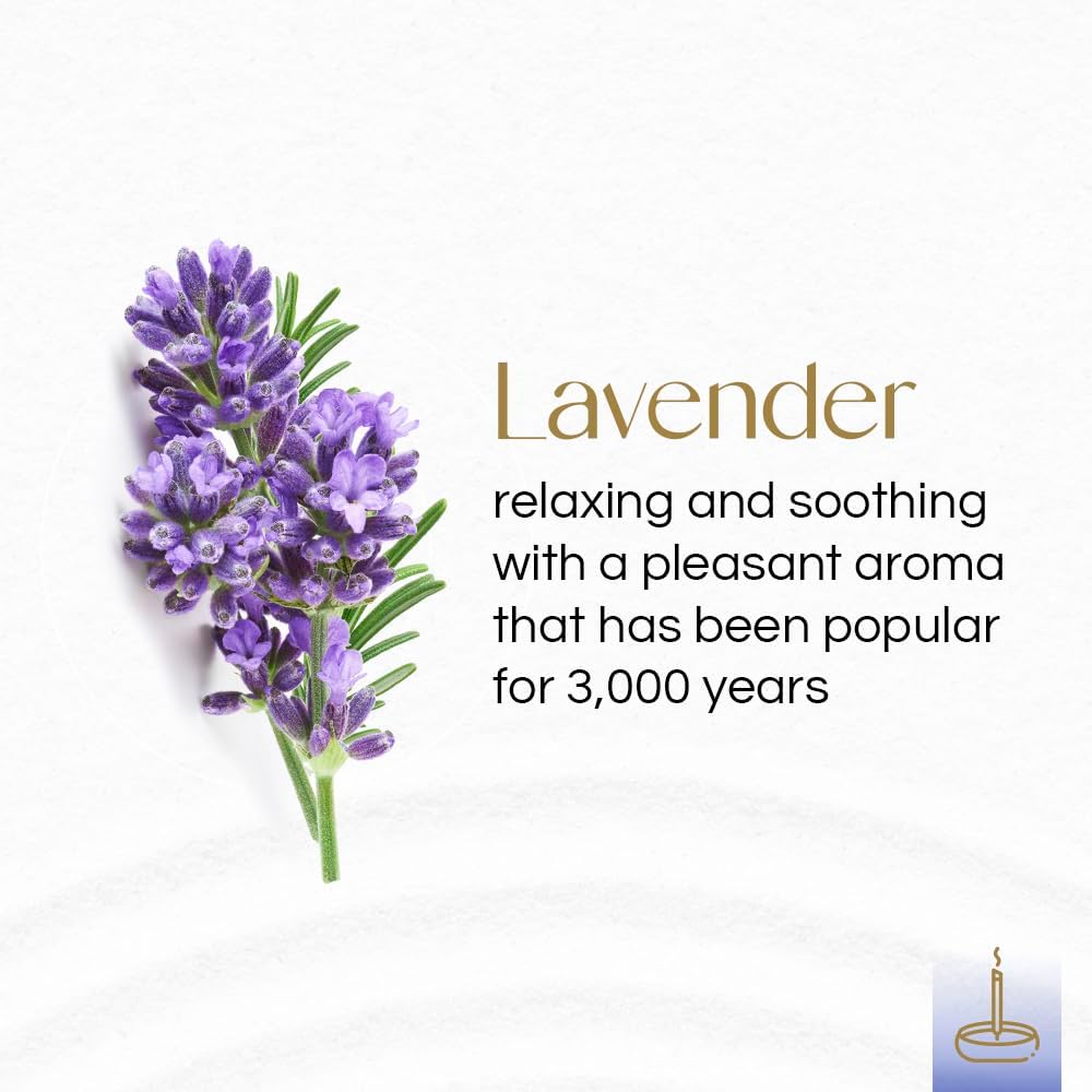 Gonesh - Extra Rich Scented Incense Sticks - Non-Toxic 10” Slow Burn Aromatic Sticks - Lavender - 100 Pack