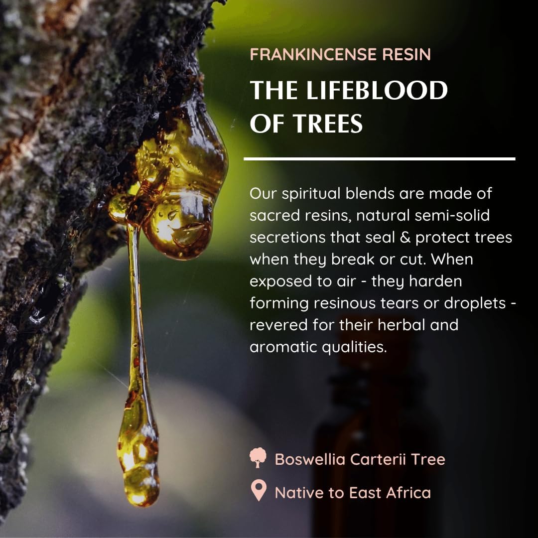 Frankincense Resin Essential Oil Diffuser Blend 30ml by Aromafume | Boswellia Carterii & Boswellia Serrata Extract Blended | Native to East Africa & India | Calms & Relaxes | Charged with Pure Resins