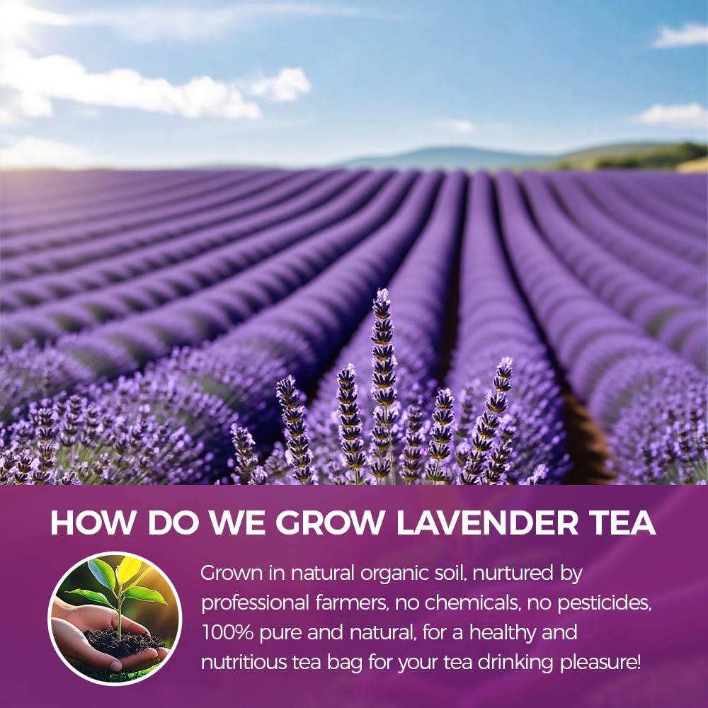 WOTIHA Culinary Dried Lavender Buds - 17.6oz Extra Grade Bulk Lavender Flowers for Baking, Tea & Lemonade - 100% Natural Fresh Buds for Sachets, Baths, Wedding Decor & DIY Crafts