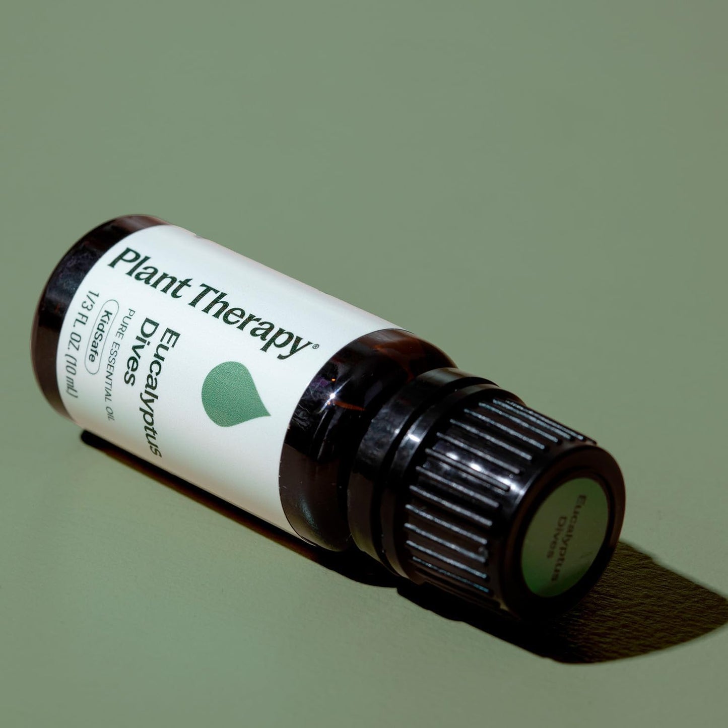 Plant Therapy Eucalyptus Dives Essential Oil 10 mL (1/3 oz) 100% Pure, Undiluted, Stimulating Aromatherapy Oil for Diffusing, Clearing & Refreshing