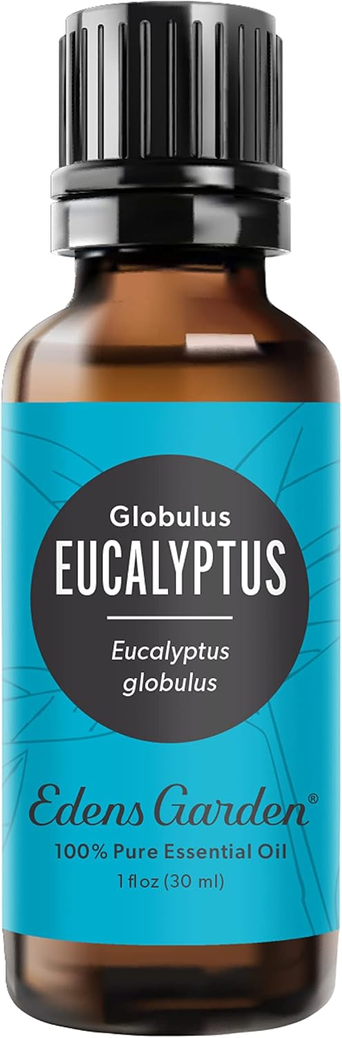 Edens Garden Eucalyptus - Globulus Essential Oil- 100% Pure Premium Grade, Undiluted, Natural, Therapeutic, Aromatherapy, The Best for Diffuser, Candle, Hair, Humidifiers 30 ml (1 fl oz)