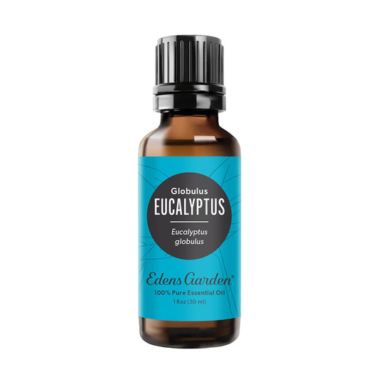Edens Garden Eucalyptus-Globulus Essential Oil- 100% Pure 30 ml (1 fl oz)