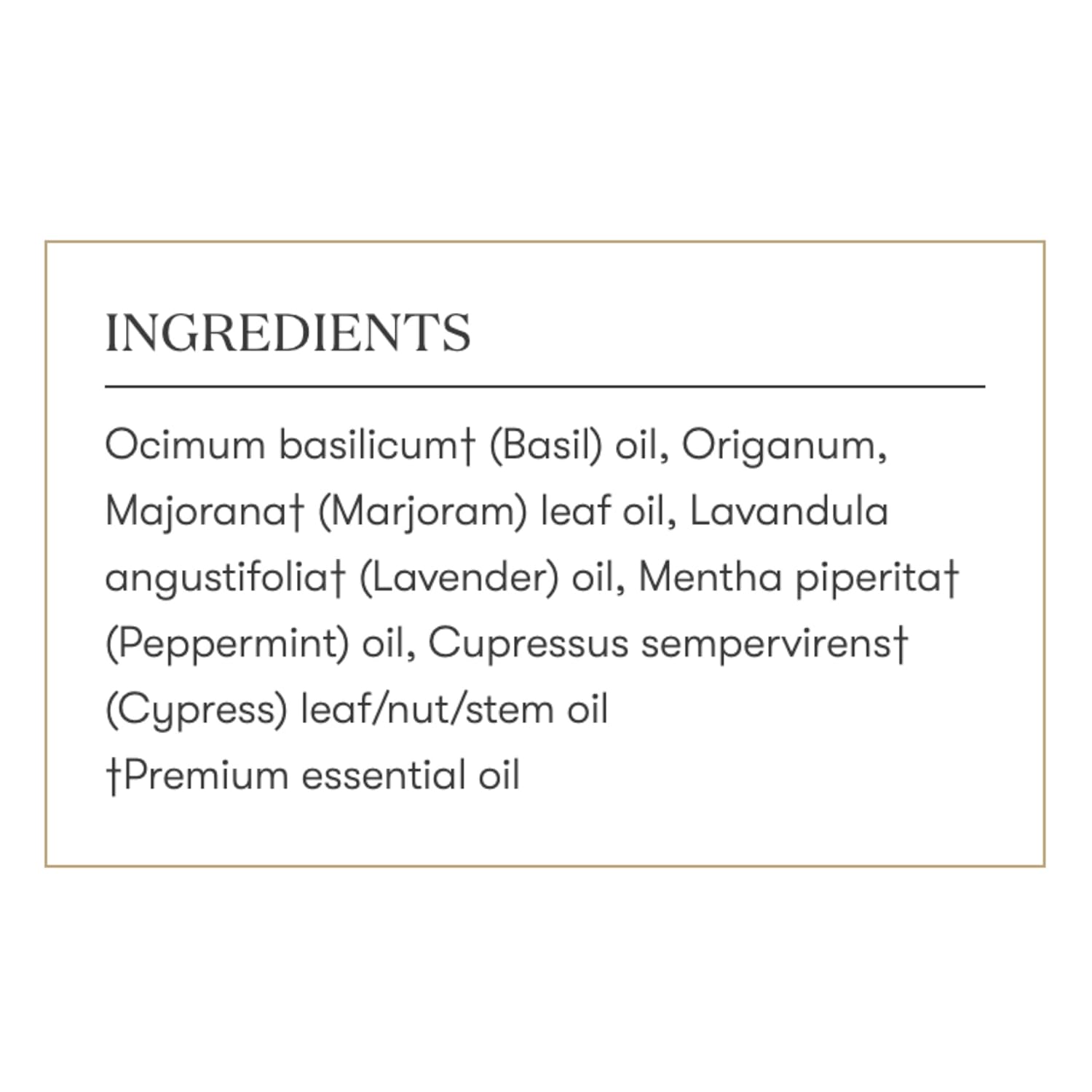 Young Living Aroma Siez Essential Oil Blend | 5 ml | Soothing, Refreshing, Relaxing Aroma | Ideal for Massage & Topical Use | Lavender, Peppermint & Basil Blend | Premium Essential Oils