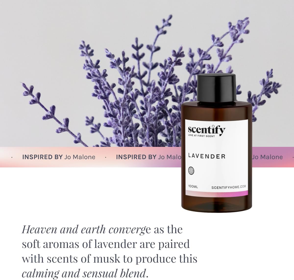 Scentify Lavender & Musk Aroma Oil Refill for Diffusers