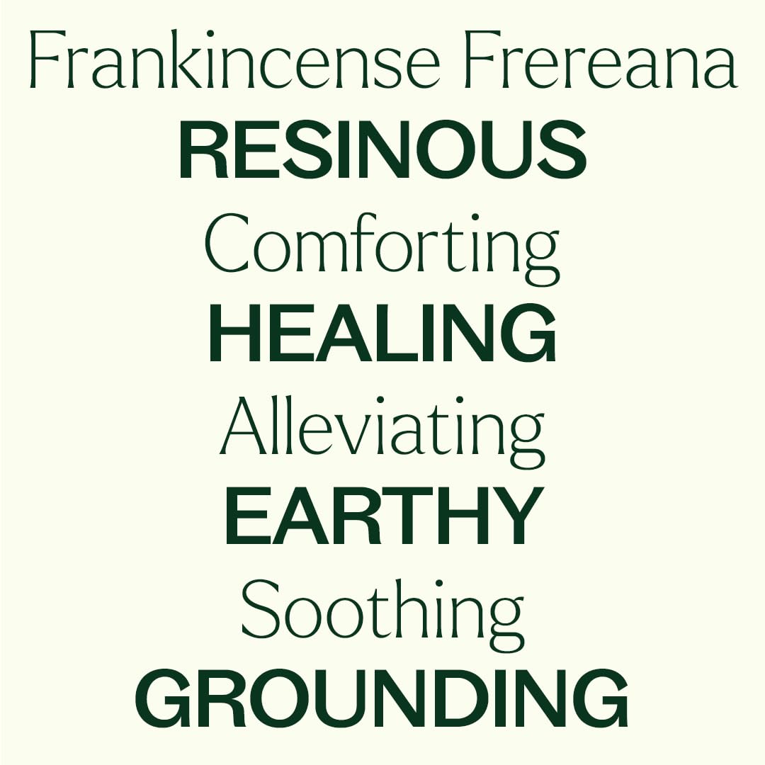 Plant Therapy Organic Frankincense Frereana Essential Oil 30 mL (1 oz), 100% Pure, USDA Certified Organic, Undiluted Aromatherapy Oil for Skin Care, Immune Support & Relaxation
