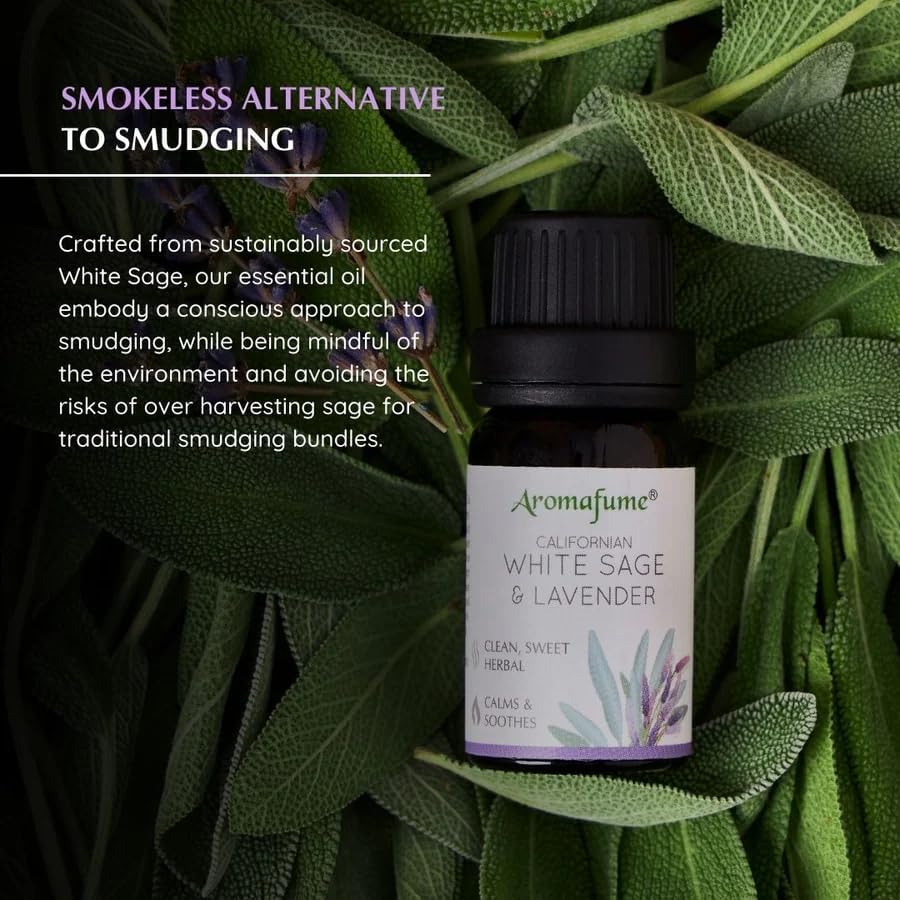White Sage & Lavender Essential Oil Diffuser Blend by Aromafume | 3x10ml/0.33 fl oz | Aromatherapy Oil for Cleansing Negative Energy & Protection | Ethically sourced | Sage Oil for Smokeless Smudging