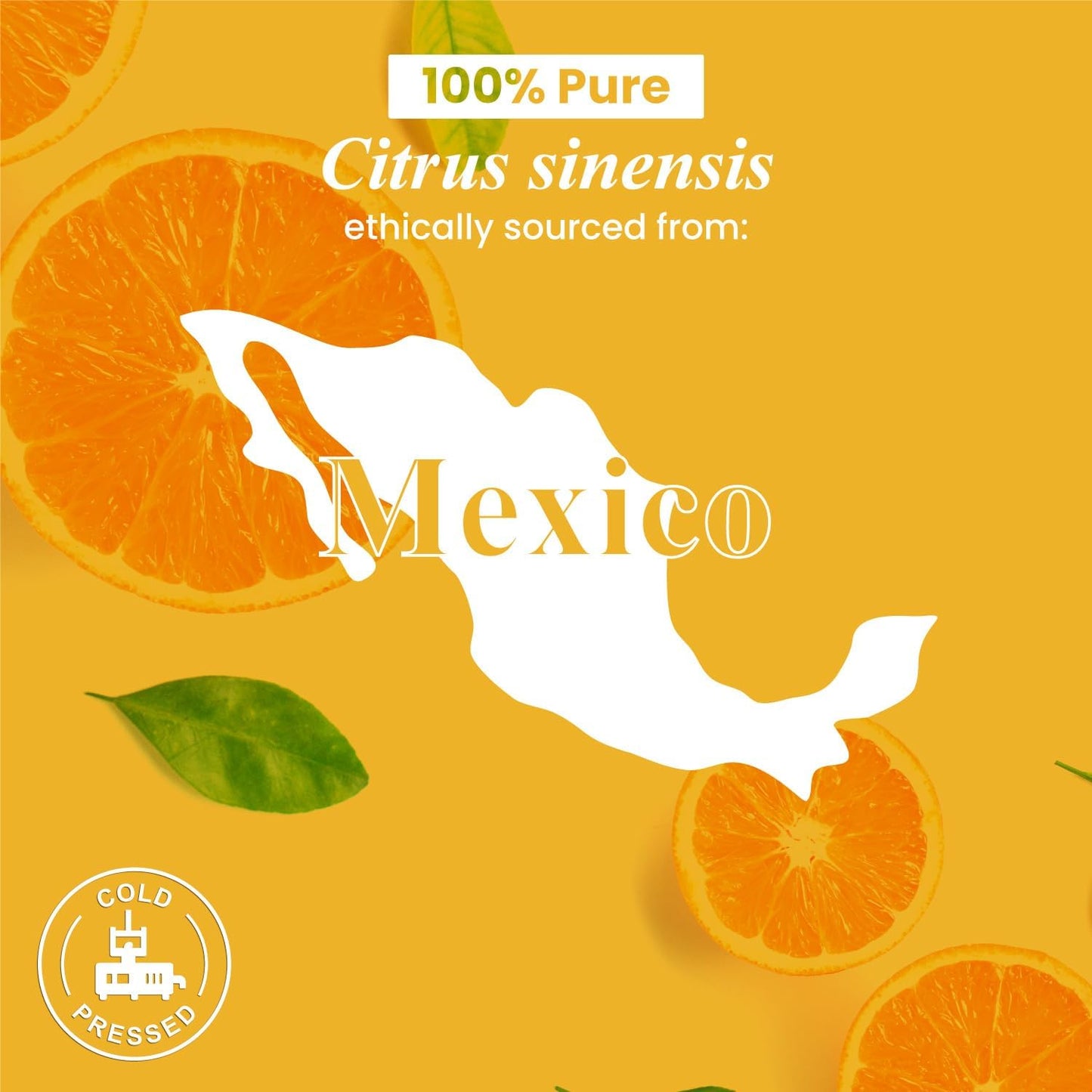 Handcraft Blends Sweet Citrus Mint Set: Peppermint and Orange Essential Oils – (2 x 4 Fl Oz) – 100% Pure & Natural – for Diffuser, Aromatherapy, and DIY Projects