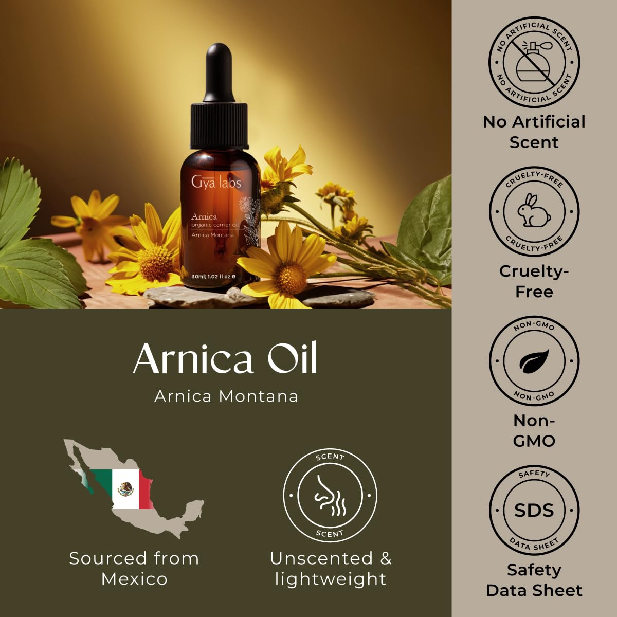 Gya Labs Arnica Oil - 1 Fl Oz - Carrier Oil for Hair, Skin, Face, Scalp & Body Massage