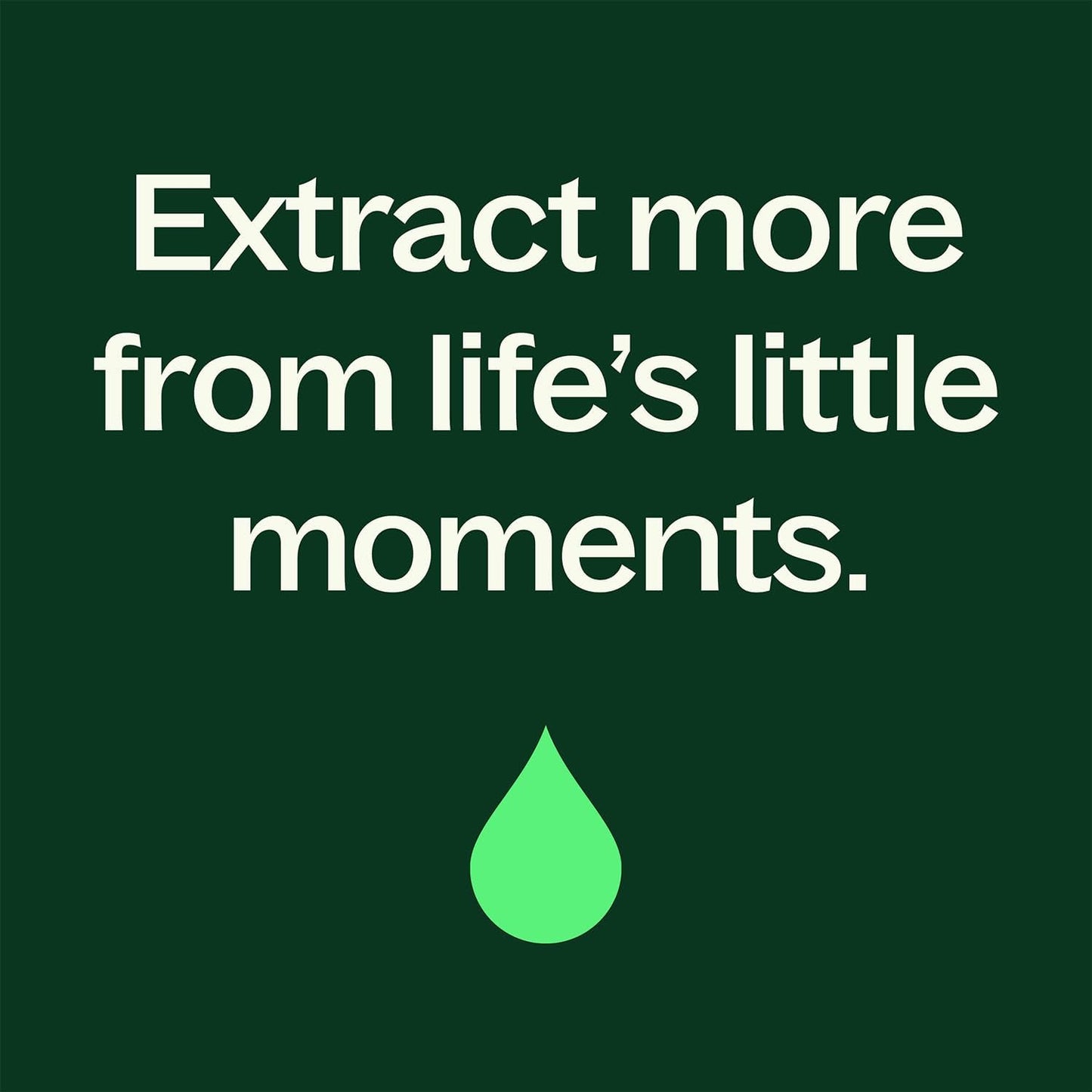 Plant Therapy Eucalyptus Dives Essential Oil 10 mL (1/3 oz) 100% Pure, Undiluted, Stimulating Aromatherapy Oil for Diffusing, Clearing & Refreshing
