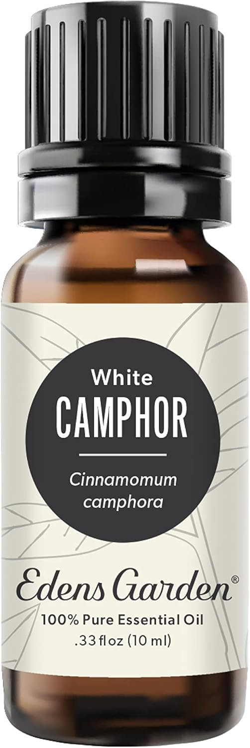 Edens Garden Camphor- White Essential Oil, 100% Pure Therapeutic Grade (Undiluted Natural/Homeopathic Aromatherapy Scented Essential Oil Singles) 10 ml