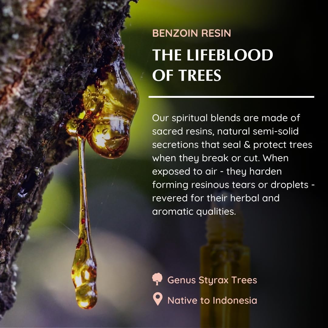 Benzoin Resin Essential Oil Roll-On Blend by Aromafume | 1 x 10ml / 1 x 0.33 Fl Oz | Made with Styrax, Native to Indonesia | for Meditation, Spiritual Awakening, Prayer and Wellness