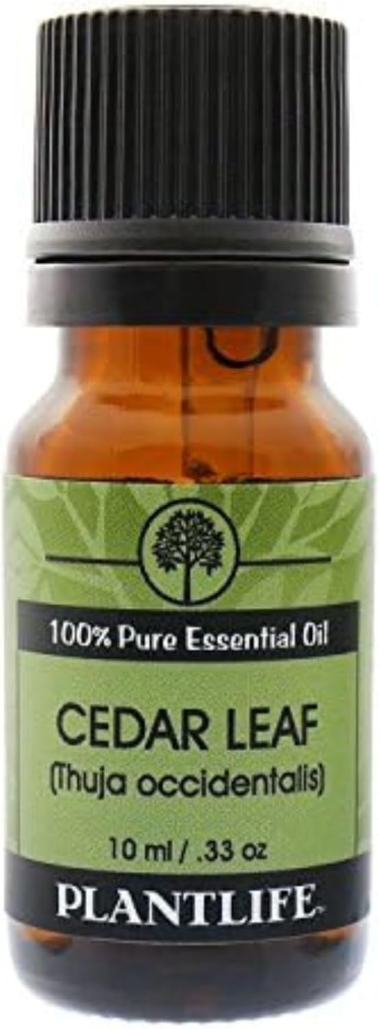 Plantlife Cedar Leaf Aromatherapy Essential Oil - Straight from The Plant 100% Pure Therapeutic Grade - No Additives or Fillers - 10 ml