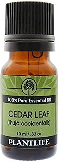 Plantlife Cedar Leaf Aromatherapy Essential Oil - Straight from The Plant 100% Pure Therapeutic Grade - No Additives or Fillers - 10 ml