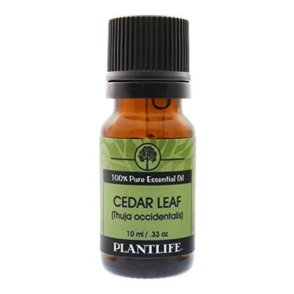 Plantlife Cedar Leaf Aromatherapy Essential Oil - Straight from The Plant 100% Pure Therapeutic Grade - No Additives or