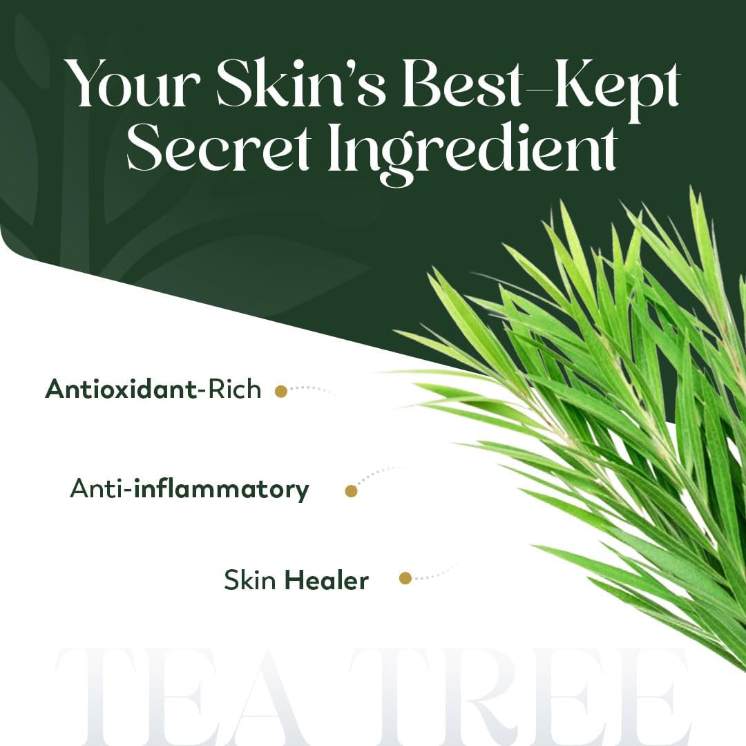 HerbsIndia Tea Tree Essential Oil for Skin - Huge 3.3 Fl Oz - 100% Pure - Premium Grade with Glass Dropper, Undiluted, Non-GMO