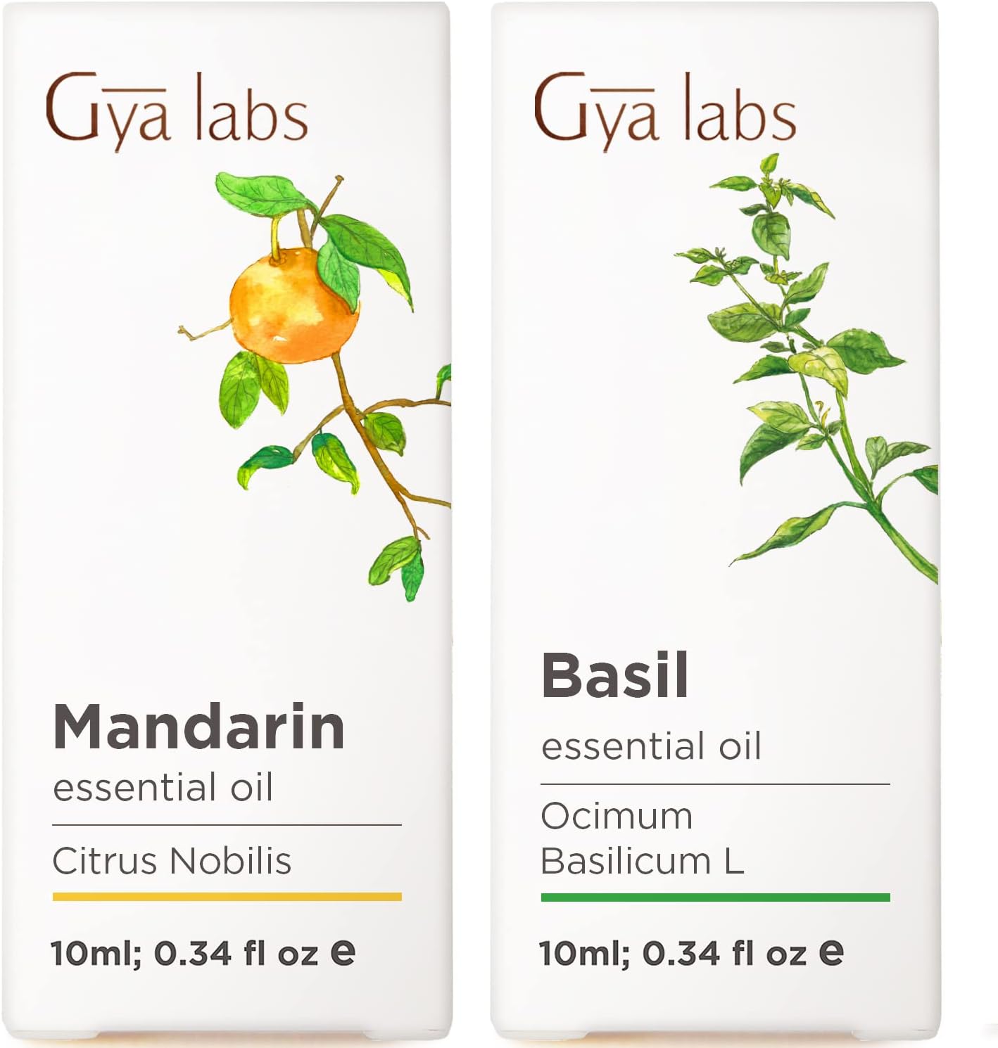 Mandarin Essential Oil for Skin & Basil Essential Oil for Diffuser Set - Aromatherapy Grade Essential Oils Set - 2x0.34 fl oz - Gya Labs