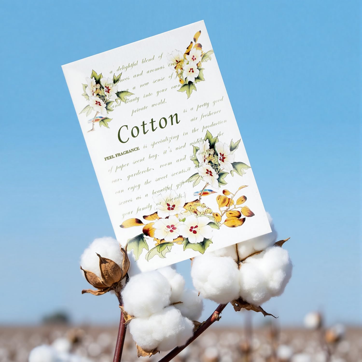 Scented Sachets for Drawer and Closet, Lot of 12 Pieces Inside. (Cotton)