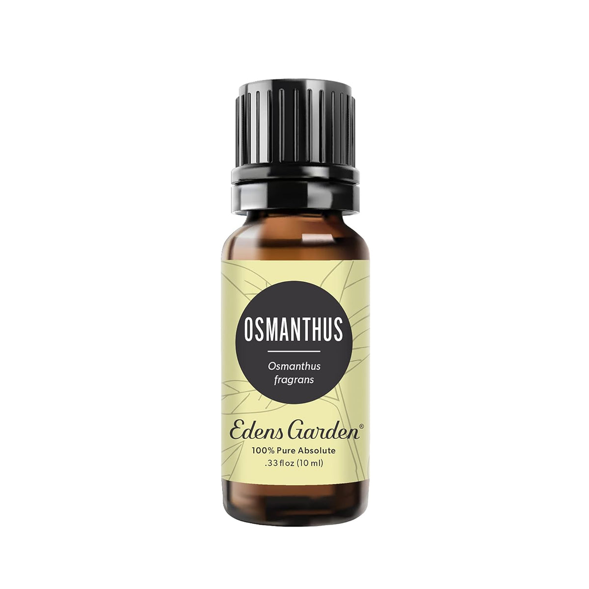Edens Garden Osmanthus Essential Oil- 100% Pure Premium Grade