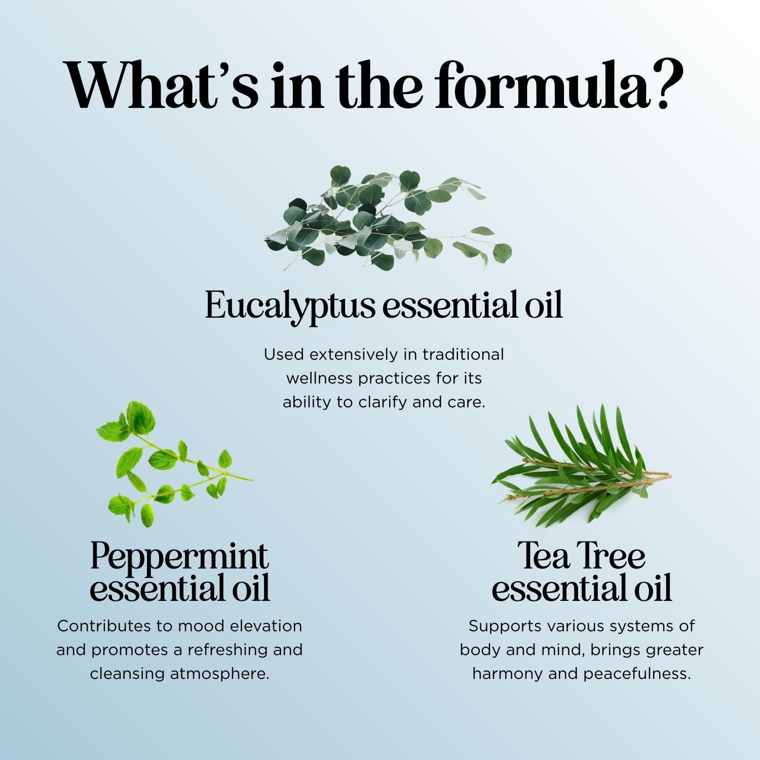 Breathe Essential Oil Roll On - Aromatherapy Essential Oil Roller with Invigorating Essential Oils - Refreshing Essential Oil Blend with Eucalyptus Peppermint Spearmint & Tea Tree Oils (1 Pack)