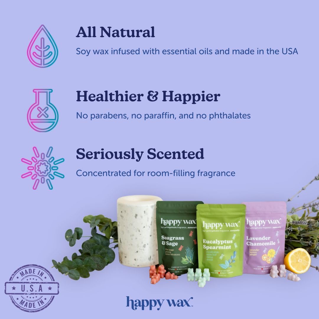 Happy Wax Summer Scented Soy Wax Melts (8oz Pouch) (Coastal Tide)