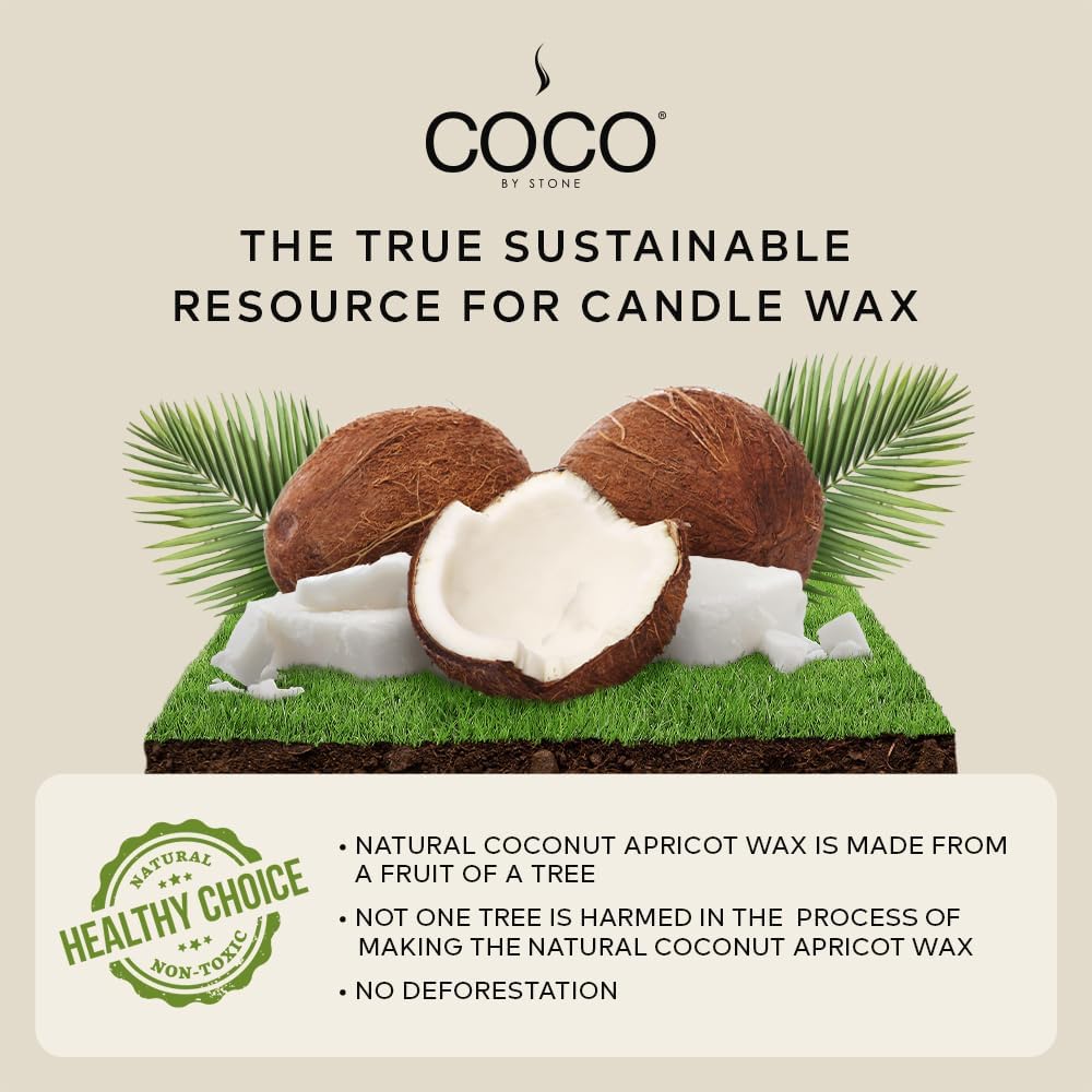 COCO by Stone 11oz Candle, Coconut Apricot Wax Candle for Home (Baies) Home Fragrance Products, 1 Wick Candle, Enhance Indoor Aroma, Vegan & Cruelty-Free, Clean Burning and Hand Poured Candle
