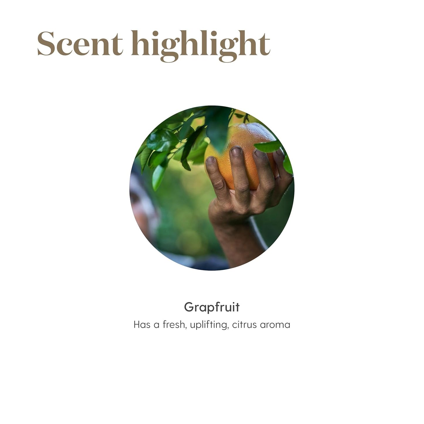 Young Living Grapefruit Essential Oil 15 ml | Uplifting Citrus Aroma for Diffuser, Aromatherapy & DIY Projects | Bright, Refreshing Grapefruit Oil | Vegan, Kosher, Gluten-Free | Photosensitive