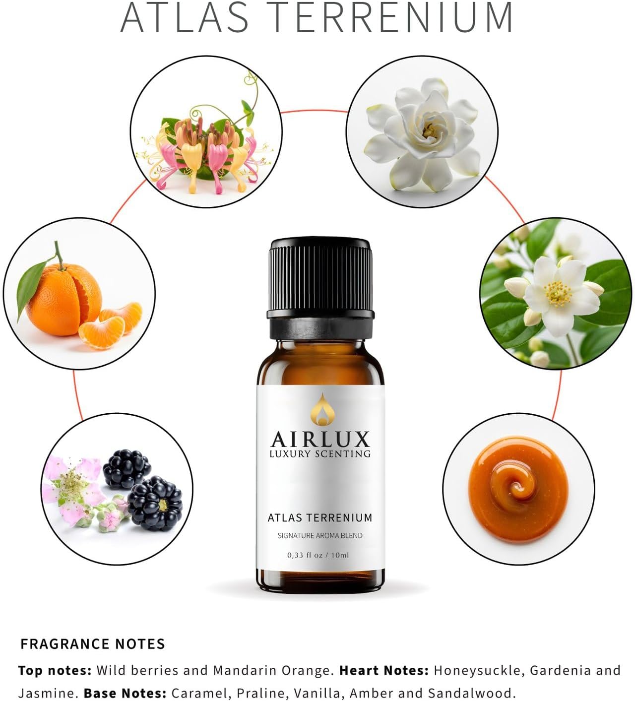 Signature Aroma Oil No. 233 Atlas Terrenium – Cardamom, Iris, Black Pepper – Aroma Oil for Cold Air & Waterless Diffusers and DIY Crafts – 10 mL, 0.34 fl oz Glass Bottle