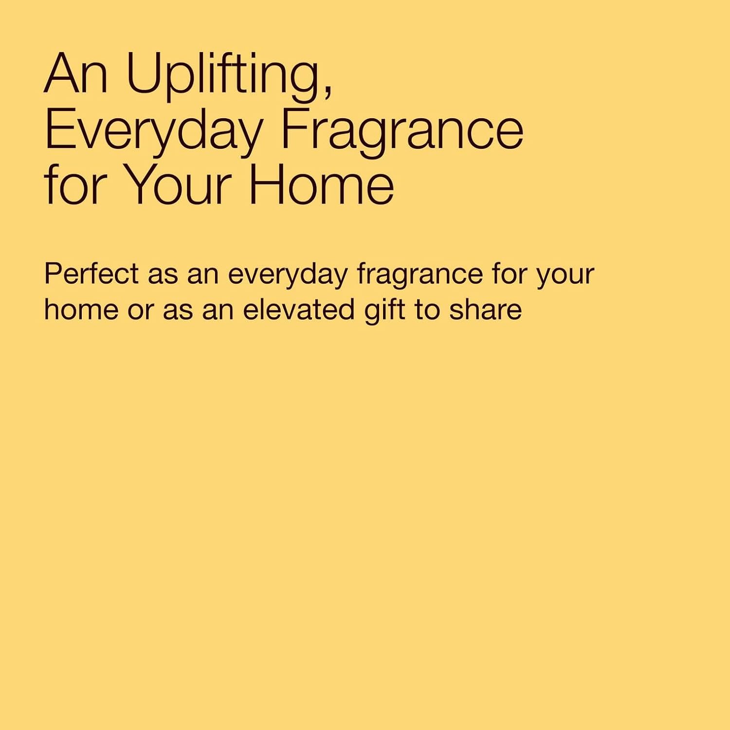 Bath & Body Works Single Wick Candle, Sweet Orange & Agave Candle, Long-Lasting Burn Up to 45 Hours, Exclusively Fragranced Soy Wax Blend, 8 oz - 1 Pack