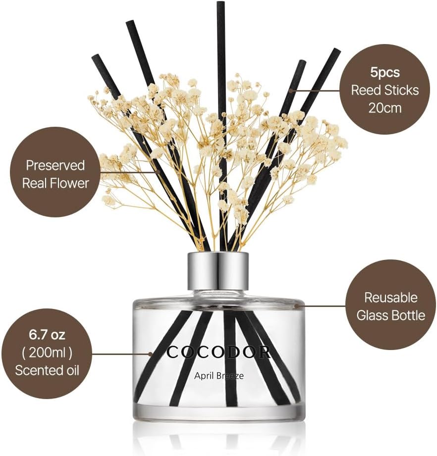 COCODOR Preserved Flower Reed Diffuser/Cedar Wood/6.7oz/1Pack / Home Fragrance Scent Essential Oil Stick Diffuser for Bedroom Bathroom Home Decor