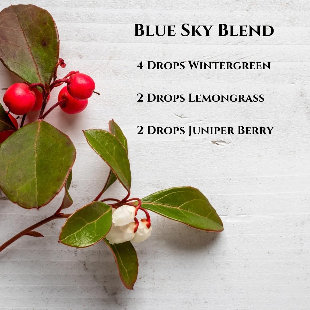 SenseLAB Wintergreen Essential Oil - Relaxation -100% Pure Extract Therapeutic Grade Wintergreen Oil for Aromatherapy Diffuser (10 ml)
