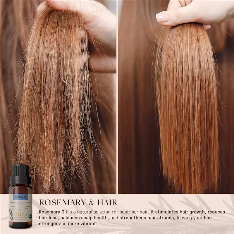 Organic Rosemary Essential Oil, Rosemary Oil for Hair Care, USDA Certified Organic, 100% Natural & Pure Essential Oils for Diffusers for Home, Aromatherapy Oils 10ml-0.33 fl oz